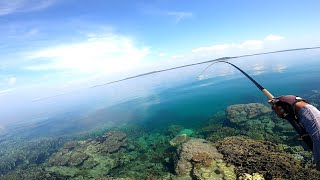 Download lagu SEPERTI MANCING DI AQUARIUM ... BANYAK IKAN DAN BERBAGAI JENIS mp3 Download lagu SEPERTI MANCING DI AQUARIUM ... BANYAK IKAN DAN BERBAGAI JENIS mp3