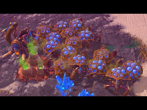 This Infestor Swarm Host Cheese Is AMAZING...