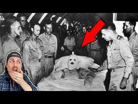 Top 3 stories that sound fake but are 100% real | Part 16
