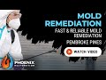 Mold Remediation Pembroke Pines FL 954 866 8408 The Phoenix Restoration Moldremediation