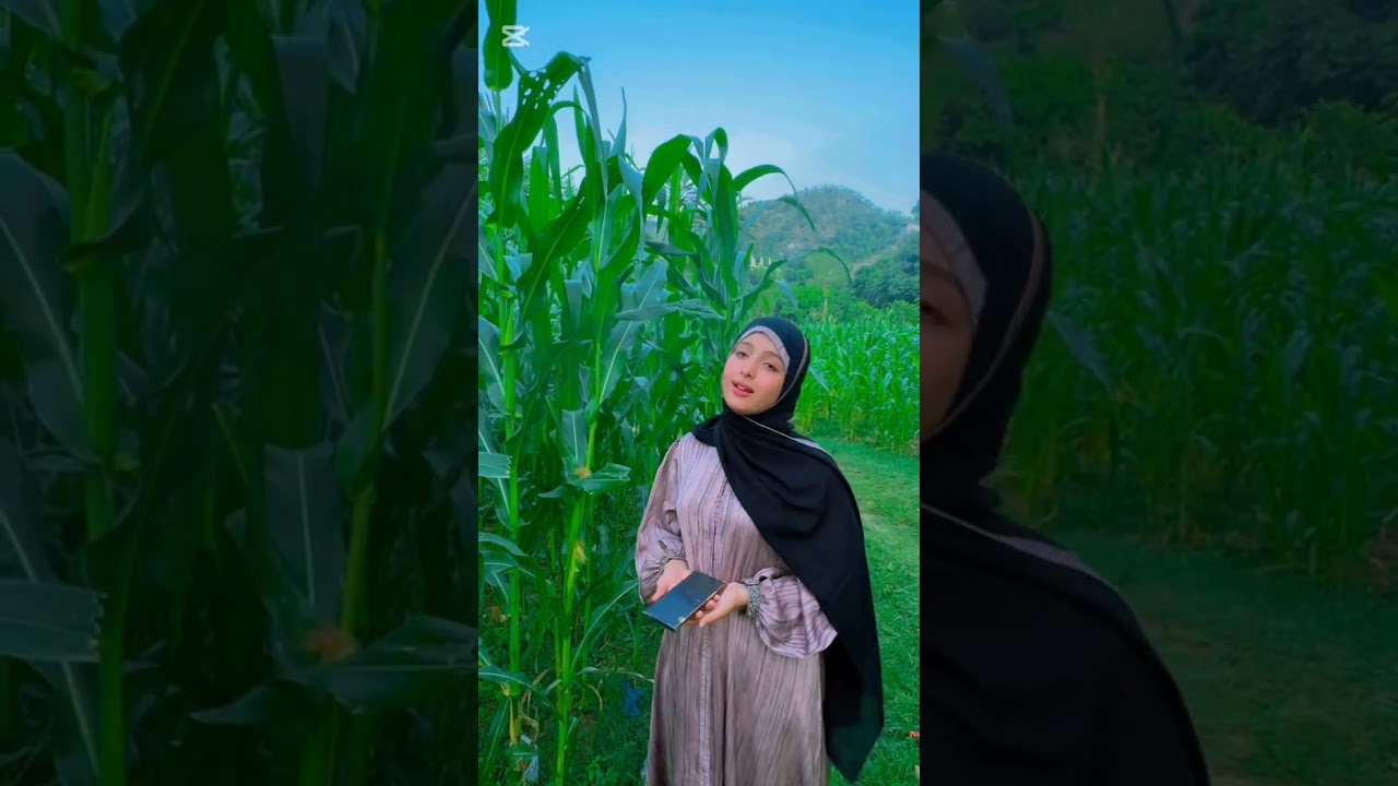 ماريا قحطان | في كل ليلة تخطر ببالي |