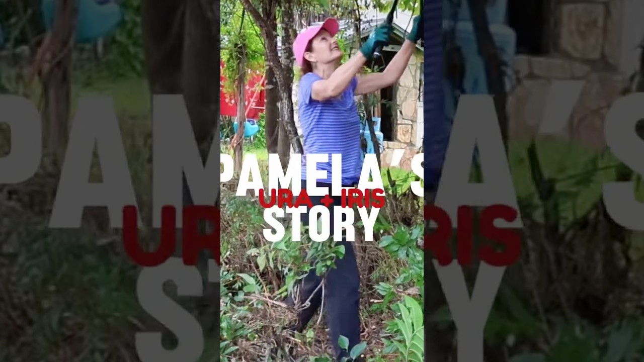 Pamela IRIS Global Volunteer Impact Story
