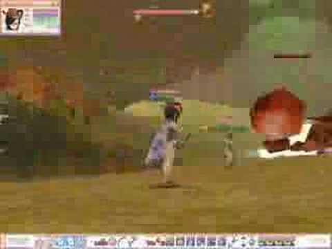 FlyFF - WTF Insanity!!