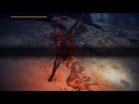 Friendly Summons Can Kill Hosts In Elden Ring lol