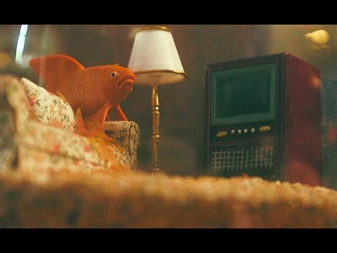 Dutch Criminal Record   Fade Away Official Music Video