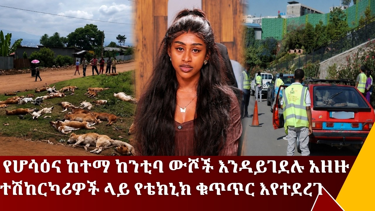 የሆሳዕና ከተማ ከንቲባ ውሾች እንዳይገደሉ አዘዙ!...የሰኔ 29/2018ዓ.ም አጫጭር ዜናዎች||Tadi