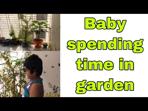 Baby spending time in garden / Baby loves playing with petunia #iyadsvlog