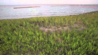 SNAP Coastal Defenses: Reducing Risk with Nature