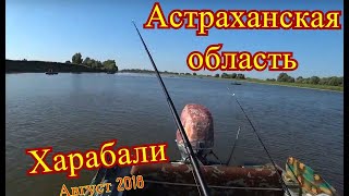 Рыбалка в харабалях астраханской области