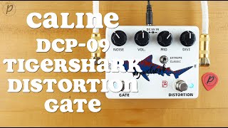 Video thumbnail for Caline DCP-09 Tigershark Distortion Gate by Pedal of the Day