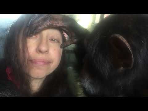 Bow Grooms my Hand, Face & Mouth -- Nov. 8, 2019