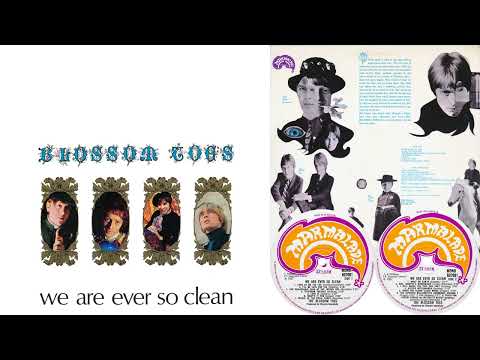 Blossom Toes - "What's It For" [MONO Mix] - We Are Ever So Clean (1967)