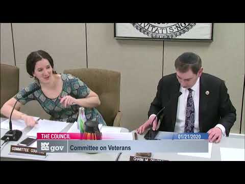 Veterans 2020-01-21T... NYCC PV 250 16 200121 130515