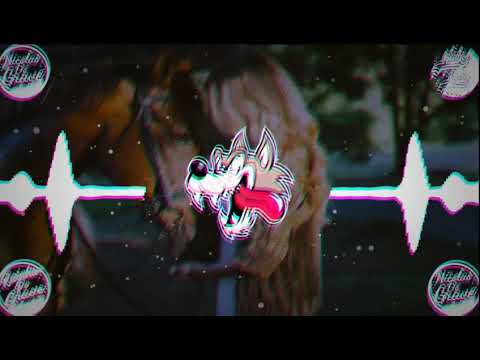 João Gustavo e Murilo - Lençol Dobrado ( COM GRAVE BASS BOOSTED )