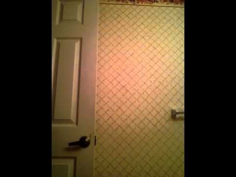 All my shoes and things I like to match with for school