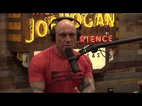 The Oldest Psychedelic In History Peyote In Mexico