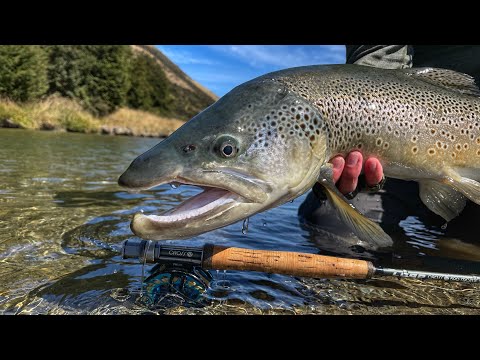 Exploring World Renowned Brown Trout River | Big Fish on Big Drys.
