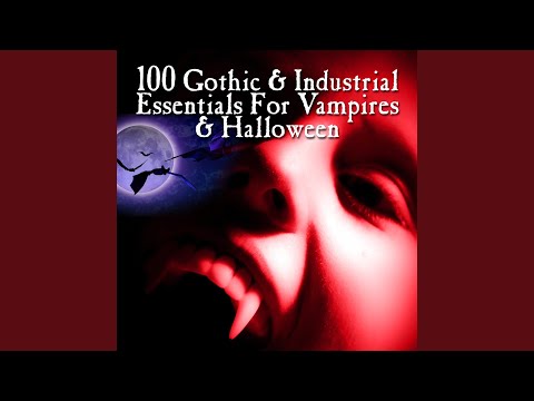 What Do I Have To Do