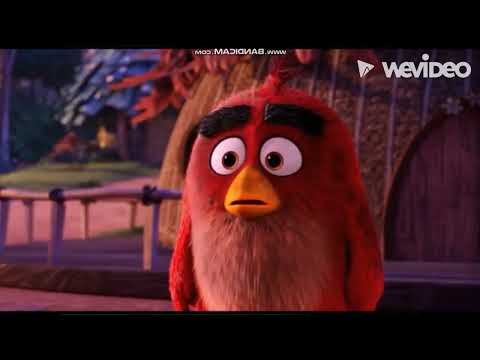 Petrienocchio Part 2 - Red Reads a Story