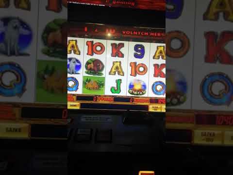 Hunter's Dreams live play BET 400-BONUS