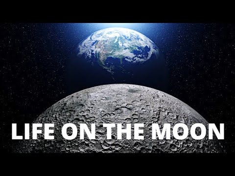Lunar Colony: What Would Living On The Moon Be Like?