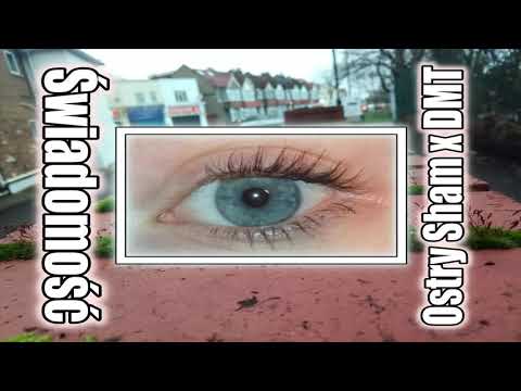 Ostry Sham x DMT - Świadomość (Prod. By Die Naum)