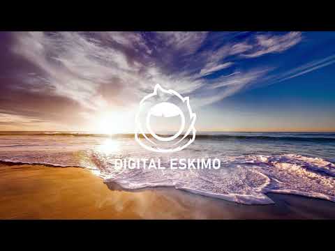 Digital Eskimo - Summer Night