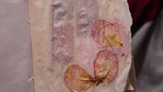 IDEAS HOW TO DRY FLOWERS AND USE IN YOUR CRAFTS AND JOURNALS