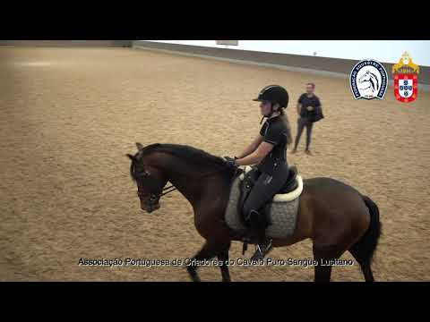 230417 9 Proj Ensino APSL&FEP - Leonor Mota Pereira com Ormuz II