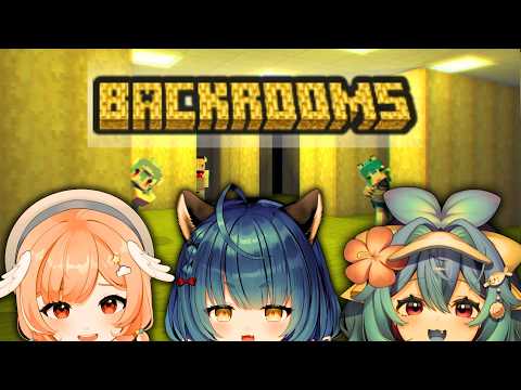 where am i???【Minecraft Backrooms Mod | Poko Rakun】