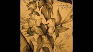 Backseat Goodbye - New Version of the Old Me