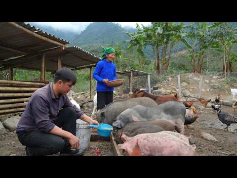 Single elderly woman decides to stay – her lonely past gradually revealed