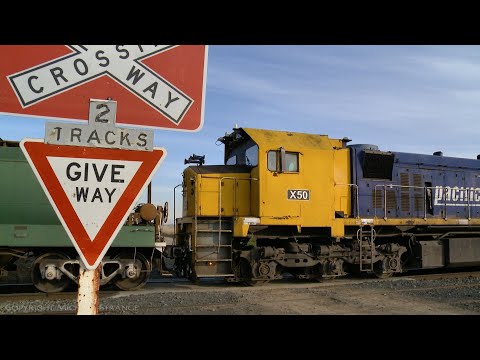 7731V Pacific National Grain Train At Railway Crossing (8/7/2021) - PoathTV Australian Railroads