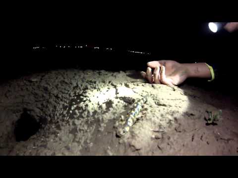 YouTube Video PztbQcwja1s