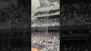 【PREMIER12 STARS】日本VS韓国@台北ドーム20241115 #台湾チア #cheerdance #cheerleading #啦啦隊 #韓国チア #premier12stars