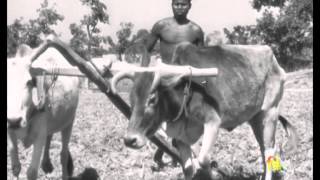 Our Original Inhabitants (1953)