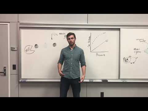 CHEN 313-TEAM BISMUTH-MOFS FOR CO2 STORAGE