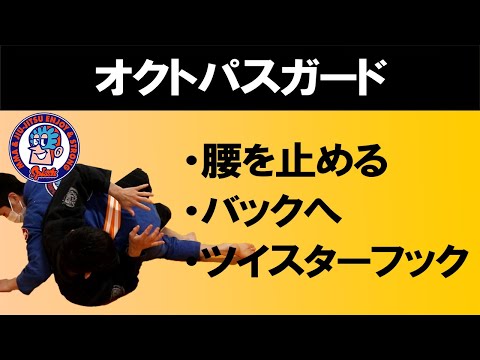 オクトパスガード　腰を止める　バックへ　ツイスターフックへ