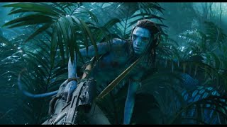 Avatar: Fire and Ash (2025) Video