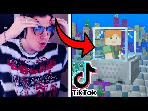 10 *VIRAL* TIKTOKS TO USE ON MINECRAFT!!