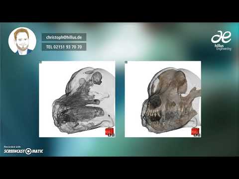 DVT 3D-Röntgen in der Veterinärmedizin