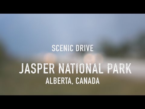 Scenic Drive - Jasper National Park, Alberta, Canada