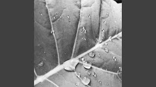 What I&#39;ve Become