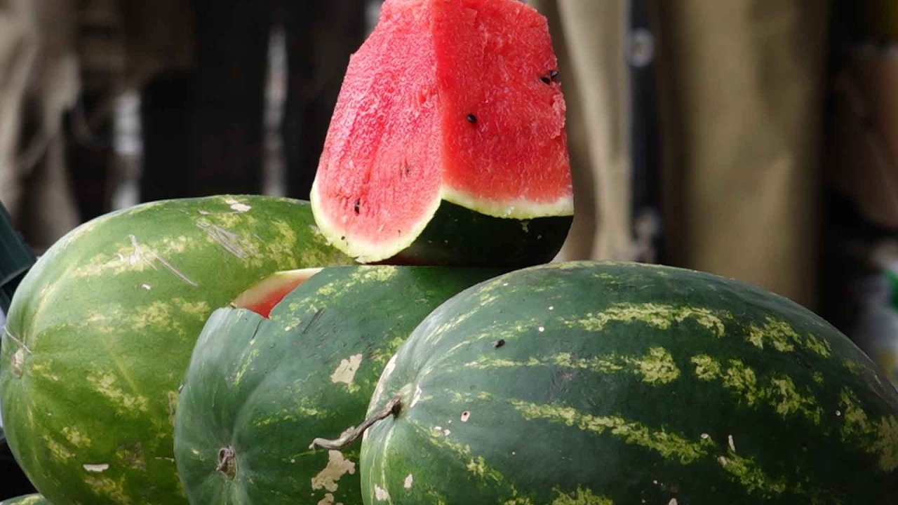 ڤیدیۆ | عەلوەی سلێمانی: هەموو  شوتییەكانی سلێمانی تەندروستن