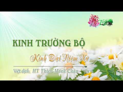 22. Kinh Ðại Niệm xứ (Mahàsatipatthana sutta)