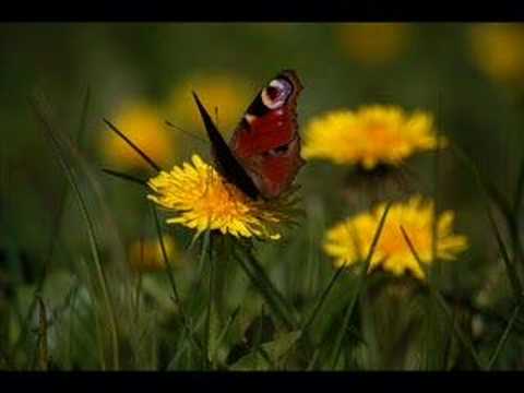 Eric Fish - Lass uns teilen