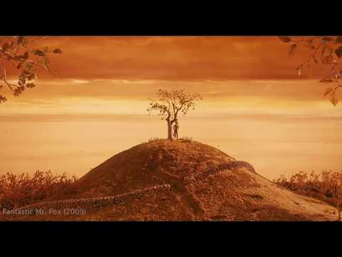 Establishing Shots - Travelstead