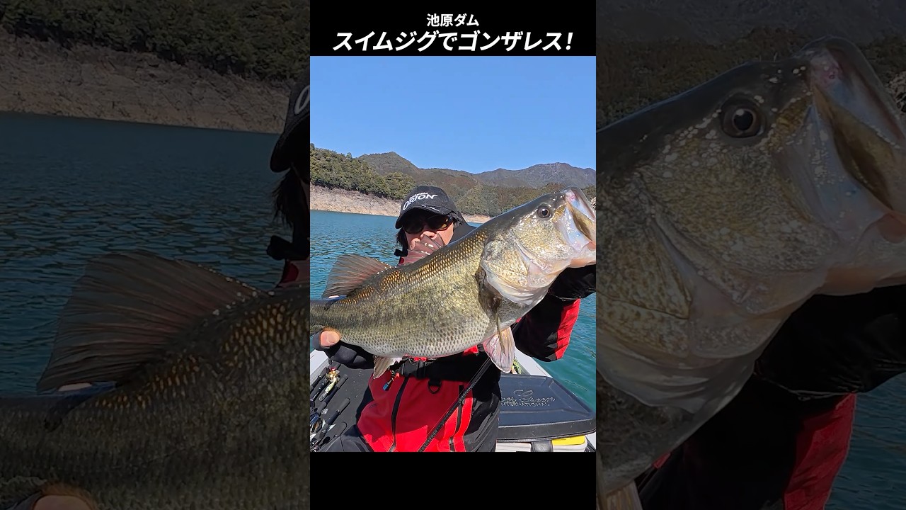 スイムジグでゴンザレス！！シルヴァ×グラスリッパー