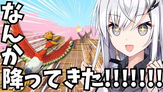探求と発見が無限にループする神ゲー【ぽこ あ ポケモン】