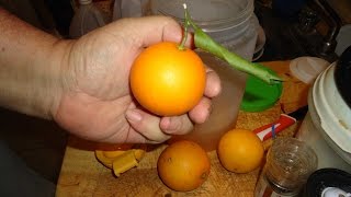 I did it cheap..home made blood orange freeze fortified wine